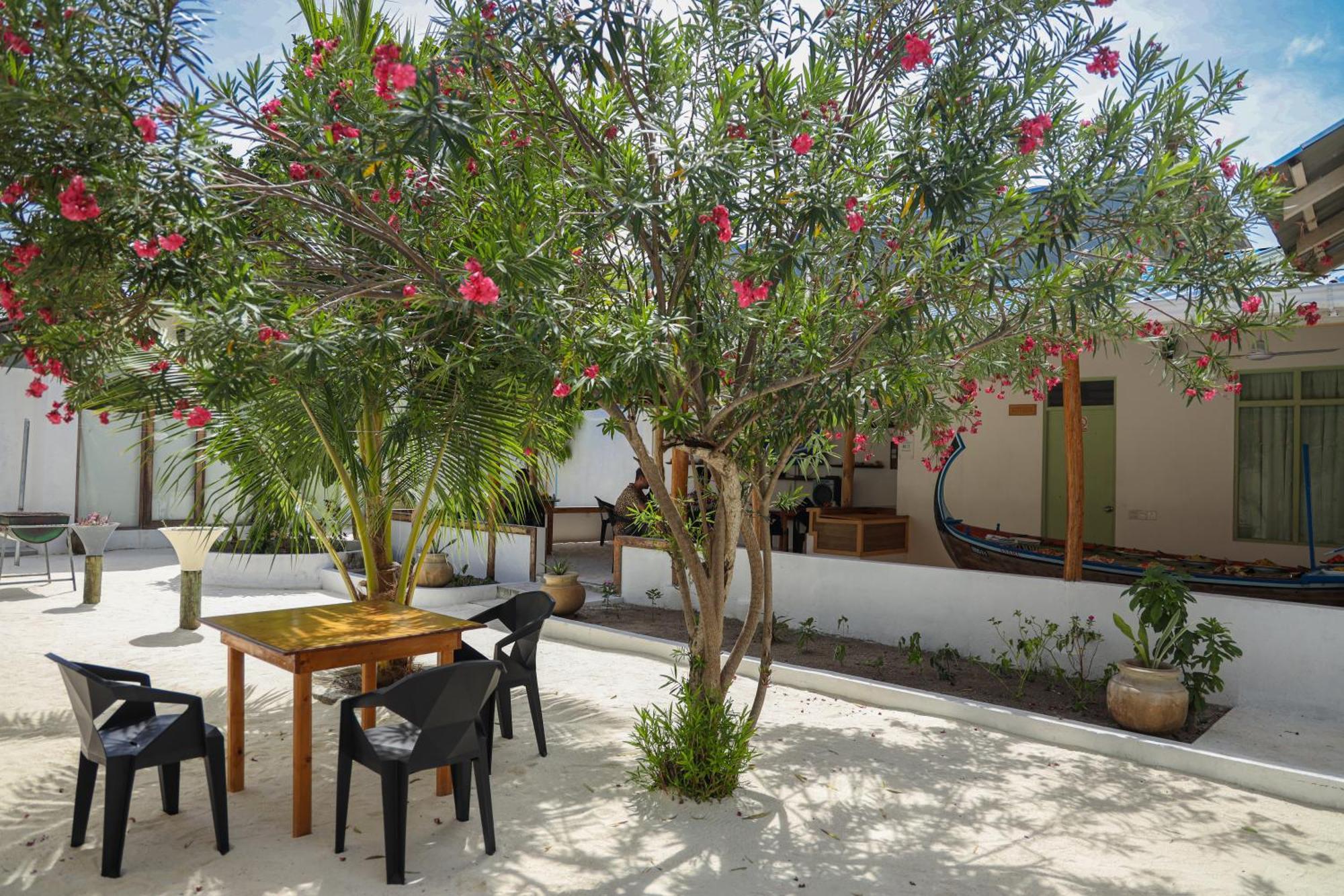 Shifa Lodge Maldives Feridhoo Esterno foto