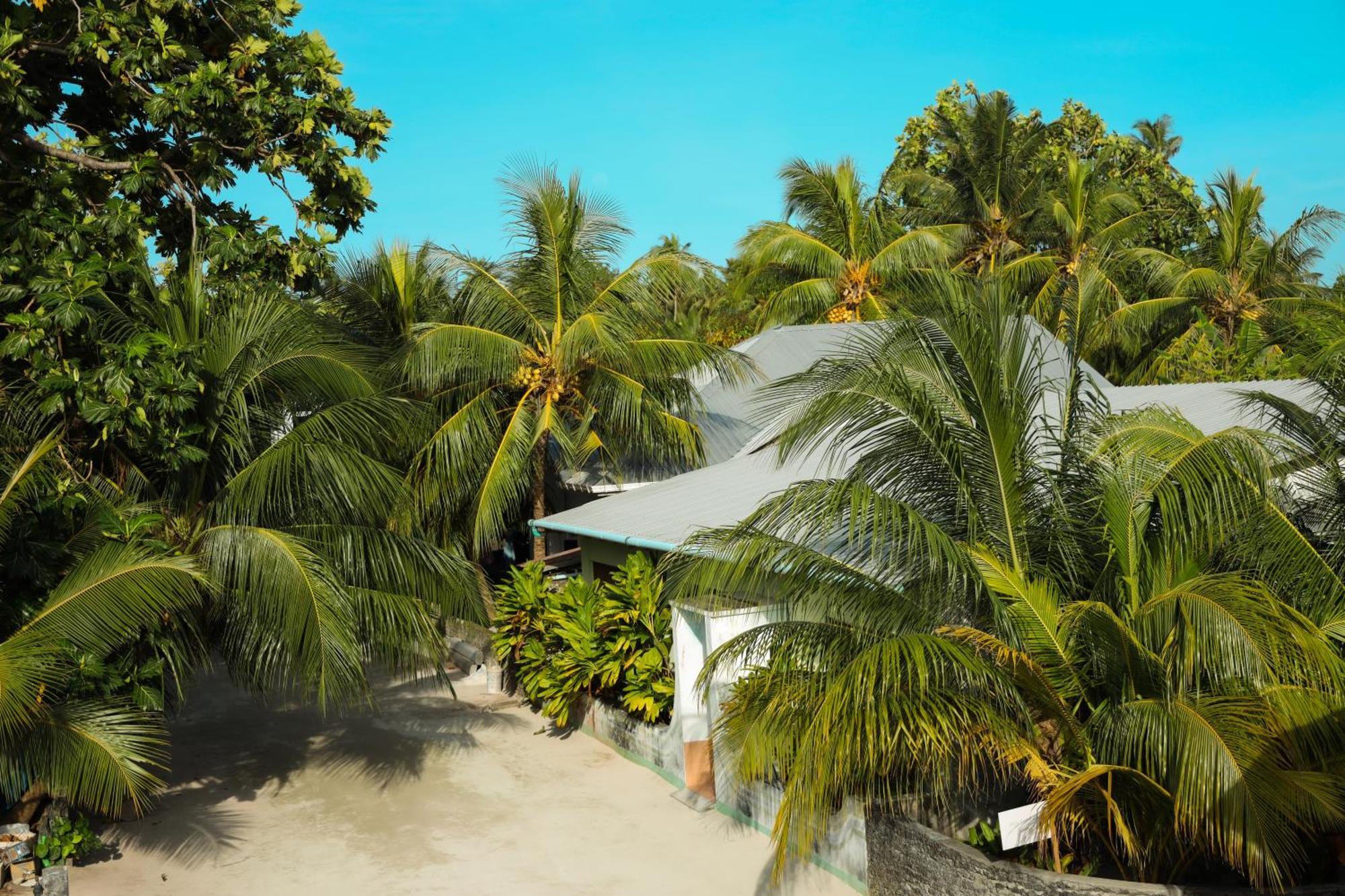 Shifa Lodge Maldives Feridhoo Esterno foto