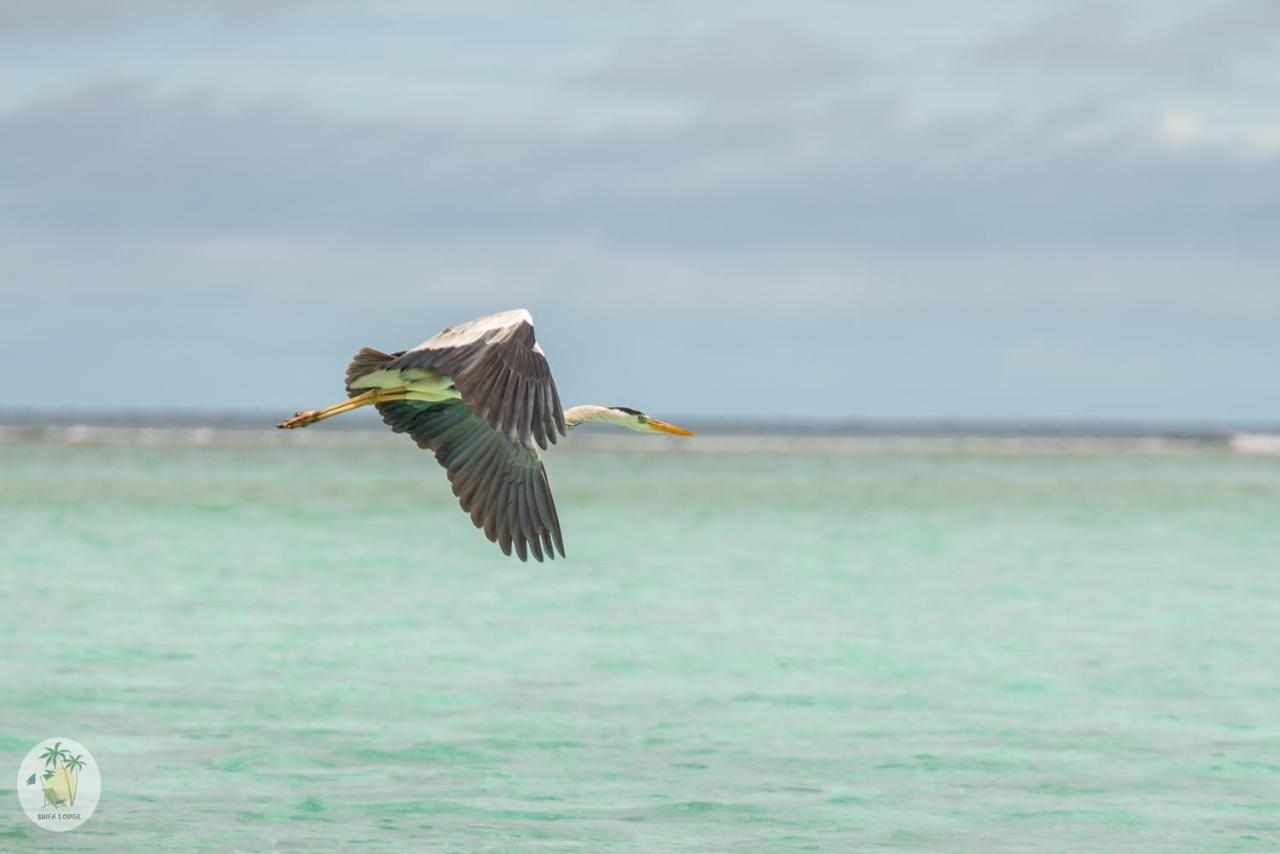 Shifa Lodge Maldives Feridhoo Esterno foto